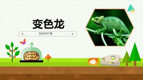 最新2021-2022青岛版科学六年级上册《变色龙》优质课件