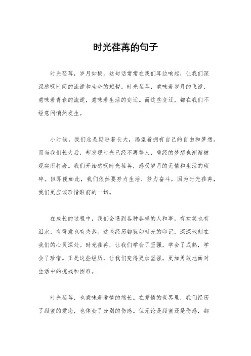 时光荏苒的句子