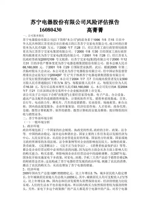 苏宁电器股份有限公司风险评估报告