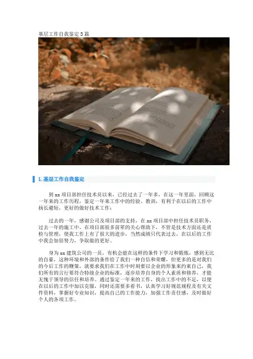 基层工作自我鉴定5篇 