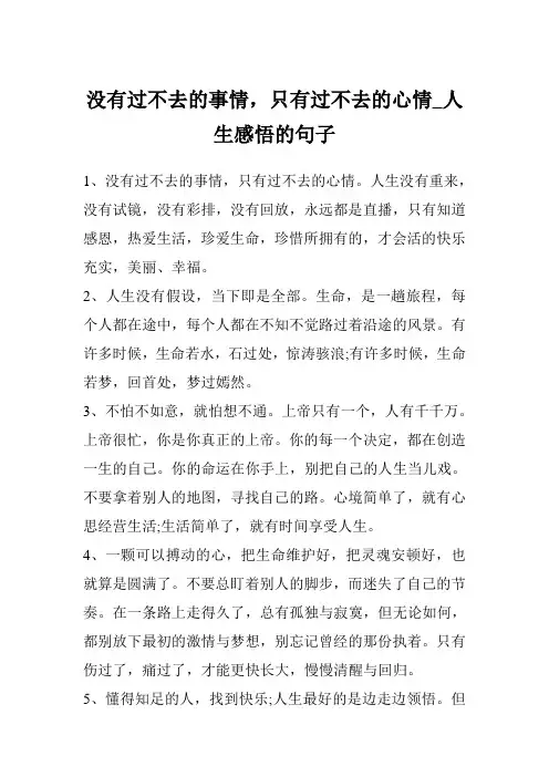 没有过不去的事情,只有过不去的心情_人生感悟的句子