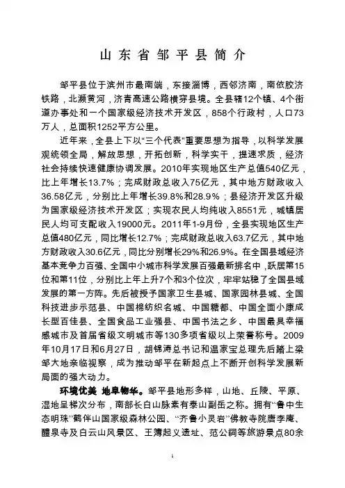 山东省邹平县简介