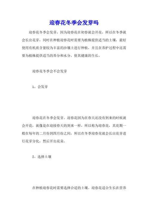 迎春花冬季会发芽吗