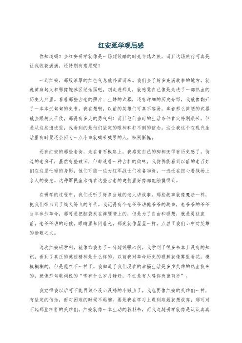 红安延学观后感