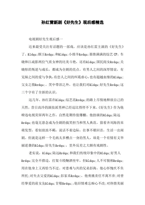 孙红雷新剧《好先生》观后感精选