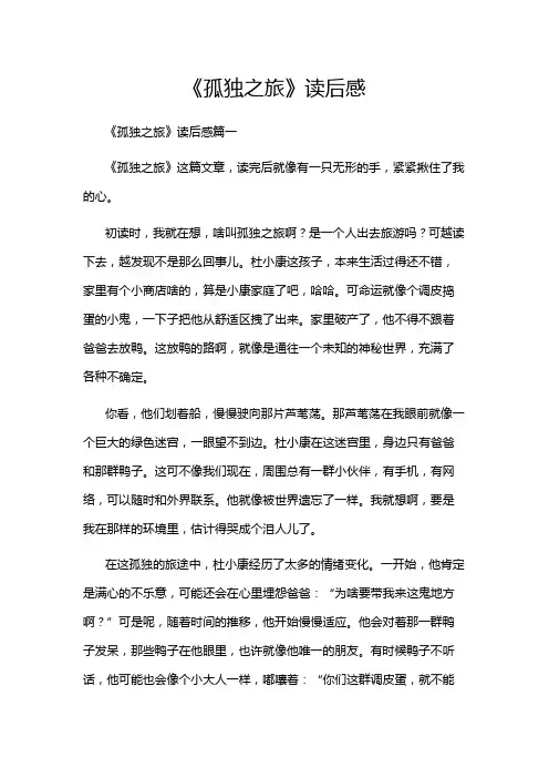 《孤独之旅》读后感