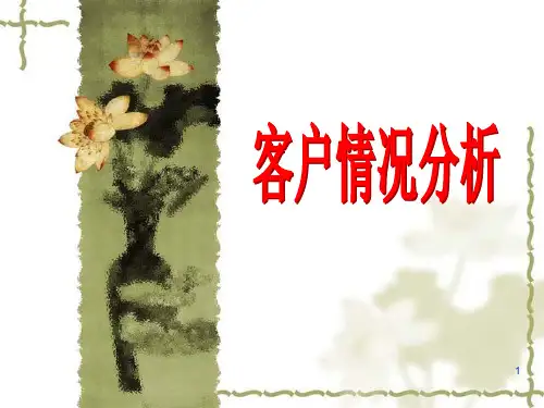 保险客户情况分析PPT课件