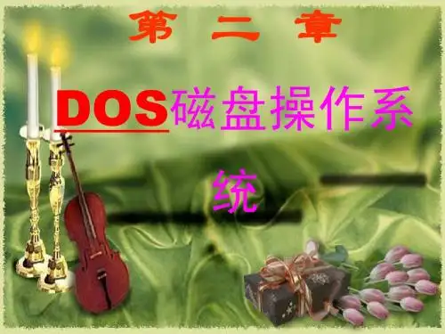 2.1DOS磁盘操作系统