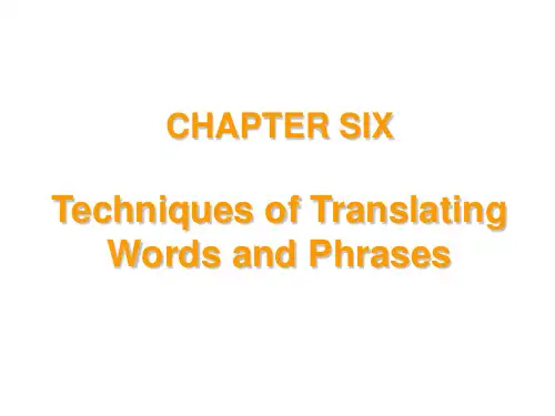 新英汉翻译课件教程 Chapter 词义的处理