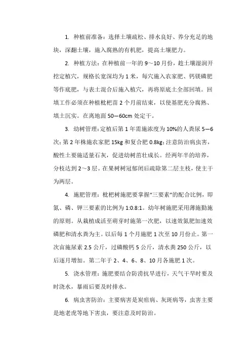 枇杷树苗的种植管理和施肥
