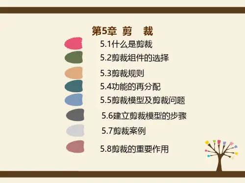 创新方法TRIZ理论课件第5章剪裁-相关两份资料