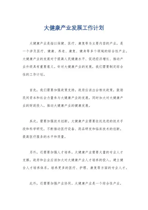 大健康产业发展工作计划