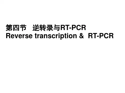 逆转录 PPT课件