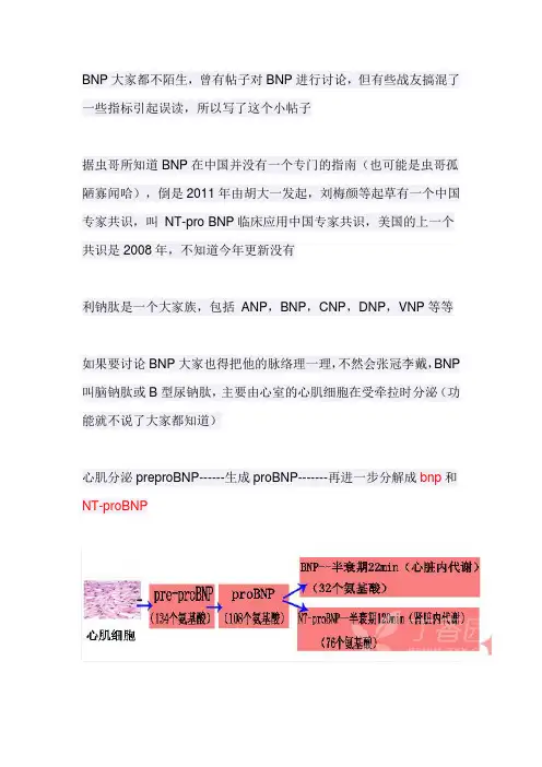 BNP 小常识