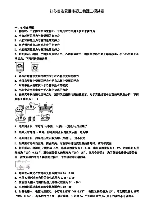 江苏省连云港市初三物理三模试卷