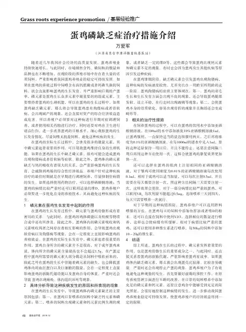 蛋鸡磷缺乏症治疗措施介绍