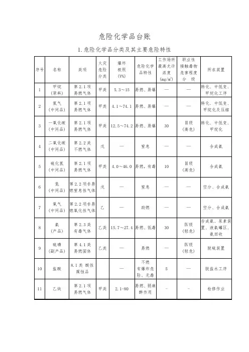 危险化学品台账(模板)