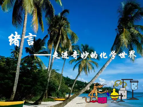 走进奇妙的化学世界PPT课件