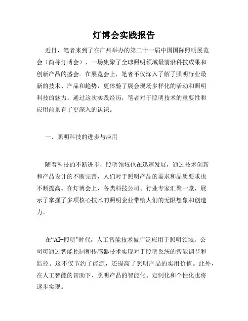 灯博会实践报告