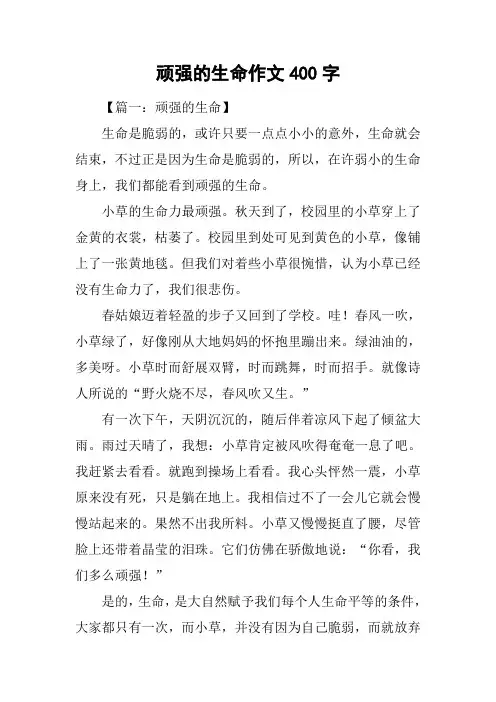 顽强的生命作文400字