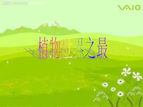 世界之最 (1)