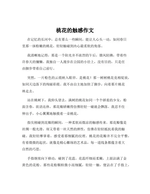 桃花的触感作文