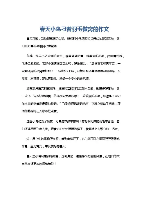 春天小鸟刁着羽毛做窝的作文
