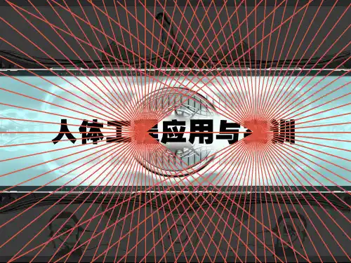 人体工程学概念与基础