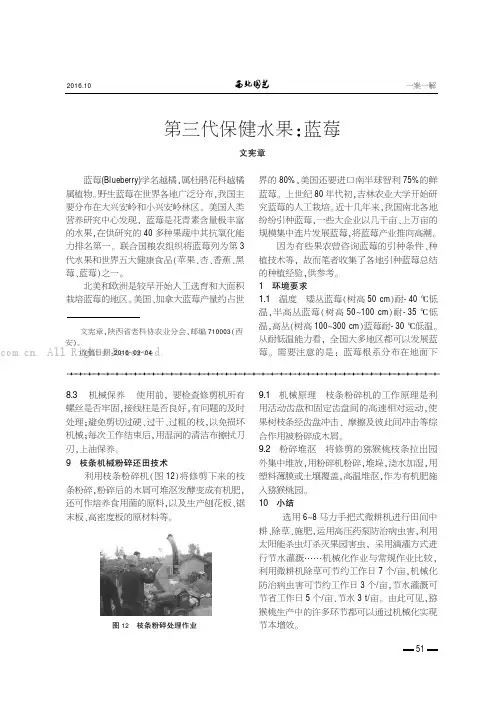 第三代保健水果：蓝莓