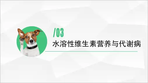 维生素饲料选用—维生素缺乏症识别(动物营养与饲料课件)