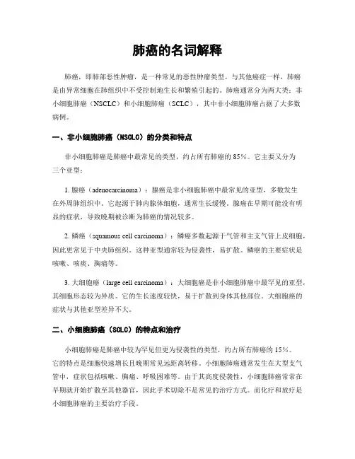 肺癌的名词解释