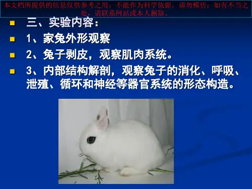 实验六兔子的解剖培训课件
