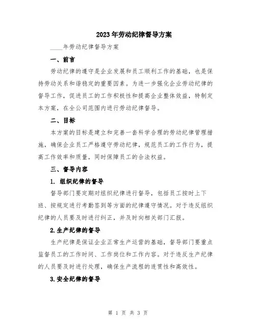 2023年劳动纪律督导方案
