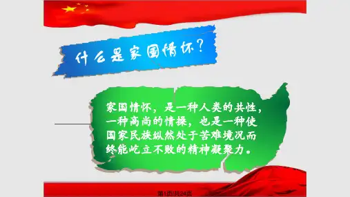 秉持家国情怀弘扬青春朝气PPT课件