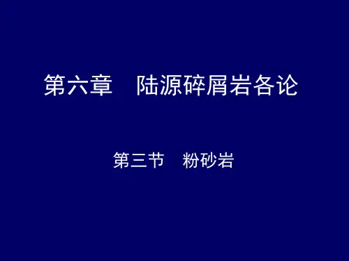 第讲陆源碎屑岩各论粉砂岩与粘土岩