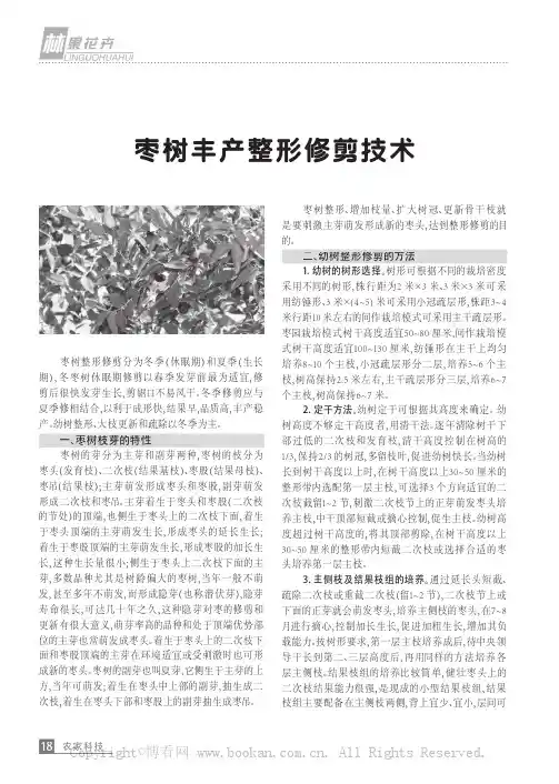 枣树丰产整形修剪技术