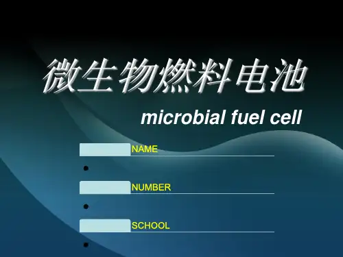 生物燃料电池
