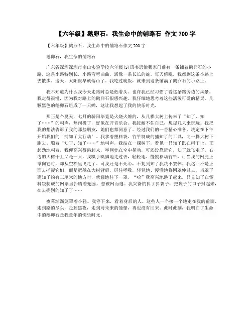 【六年级】鹅卵石,我生命中的铺路石 作文700字