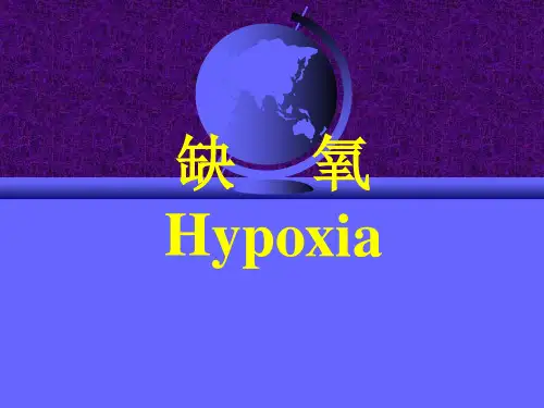 缺氧讲义
