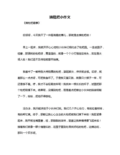 摘枇把小作文