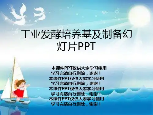 工业发酵培养基及制备幻灯片PPT