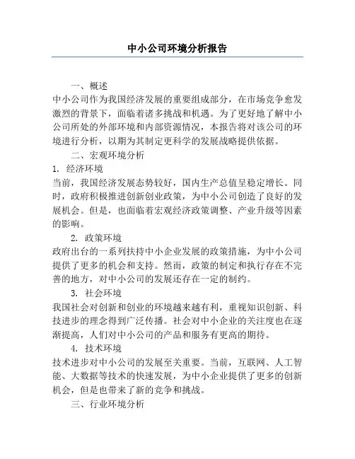 中小公司环境分析报告