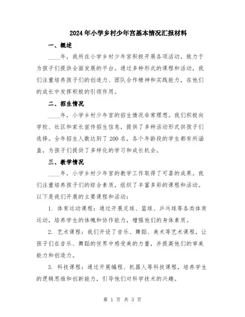 2024年小学乡村少年宫基本情况汇报材料