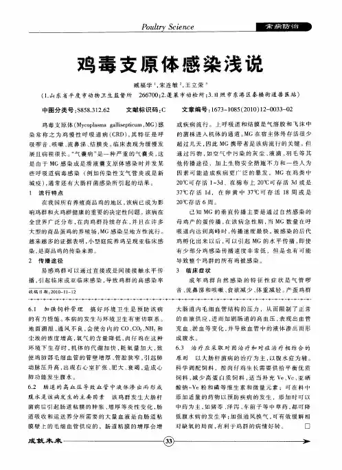 鸡毒支原体感染浅说