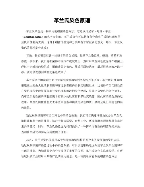 革兰氏染色原理