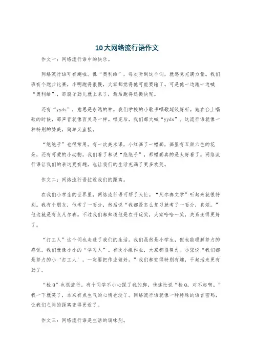 10大网络流行语作文