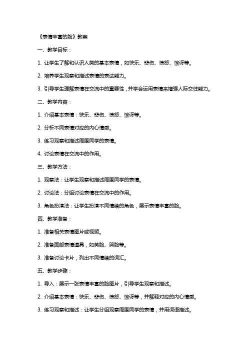 《表情丰富的脸》教案