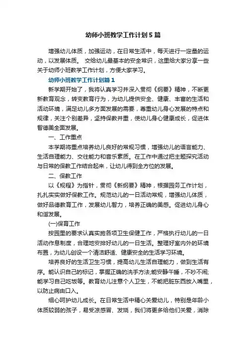 幼师小班教学工作计划5篇