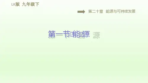 2021春鲁科版九年级物理下册课件第22章  20.1能 源