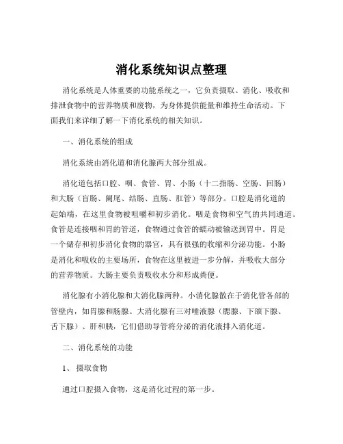 消化系统知识点整理